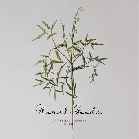 Fern Stems
