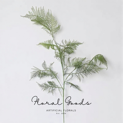 Fern Stems