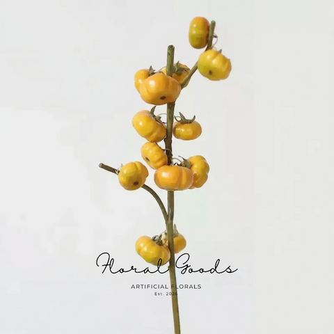 Fruit Stems