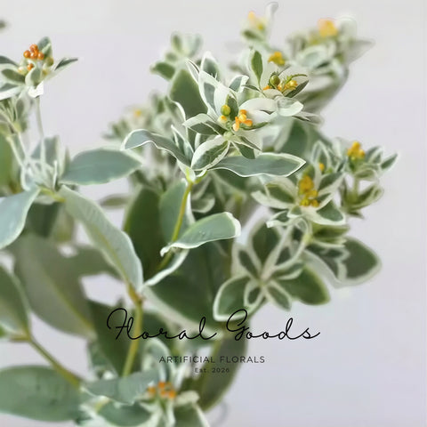 Leaf Stems