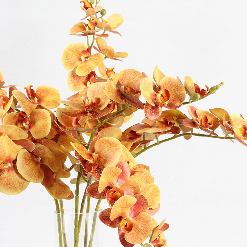Real Touch Butterfly Orchid Stem in Orange Yellow 37" Tall