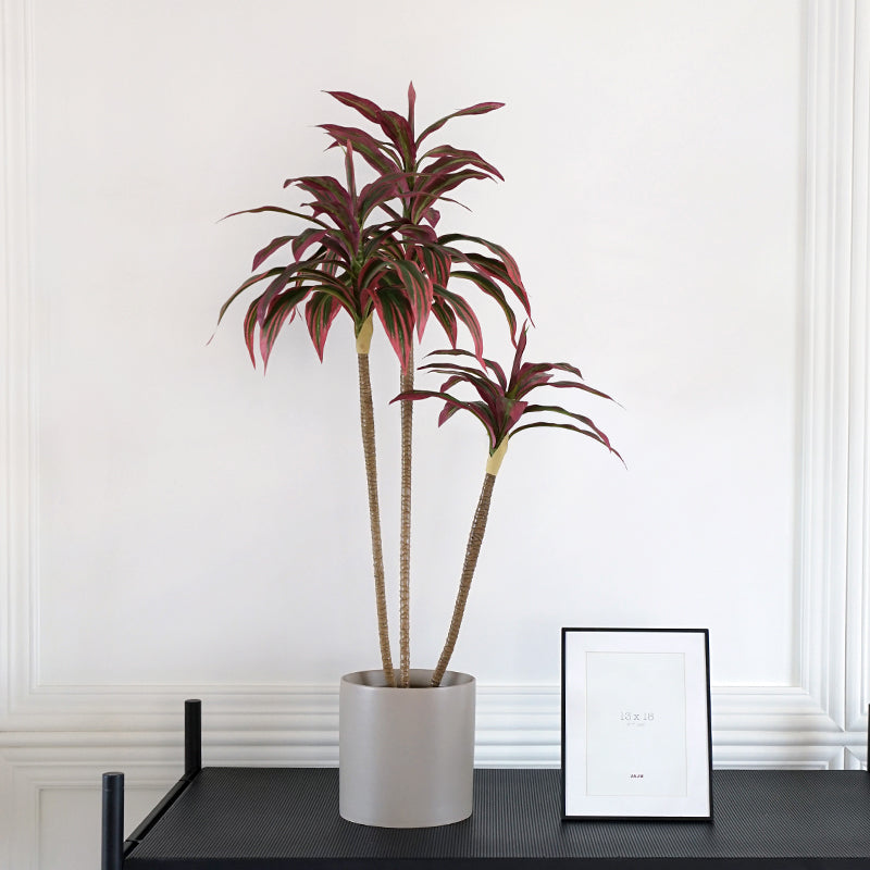 Red Palm Potted Plant 38" Tall