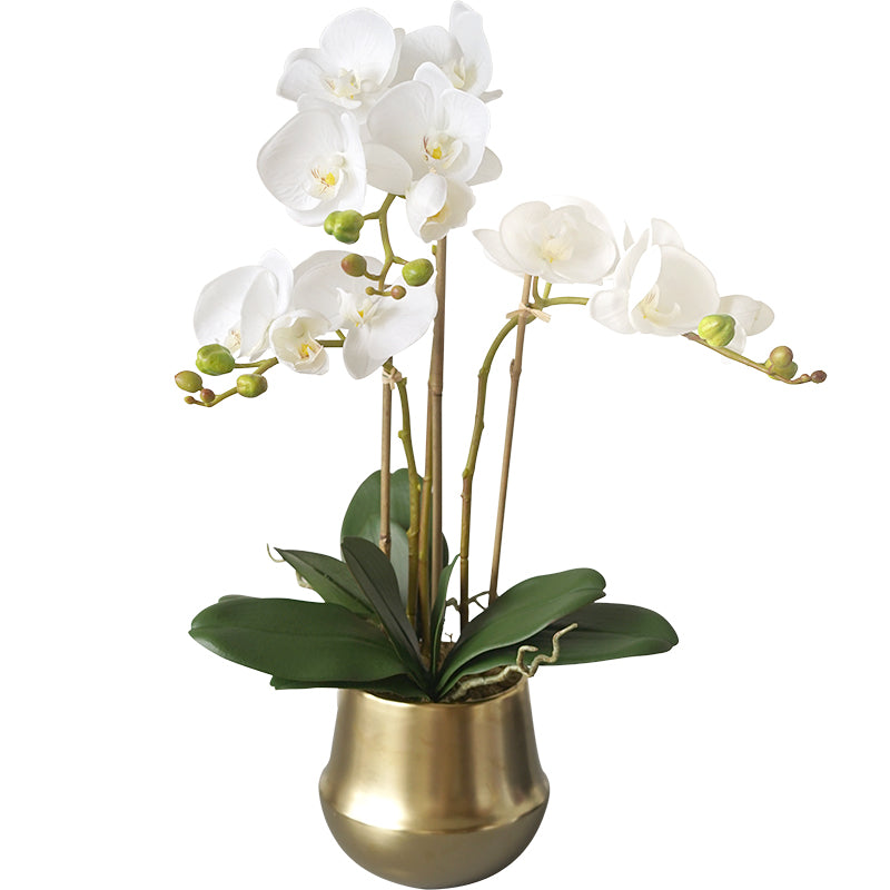 Real Touch Orchid Arrangement in Gold Metal Vase 26" Tall