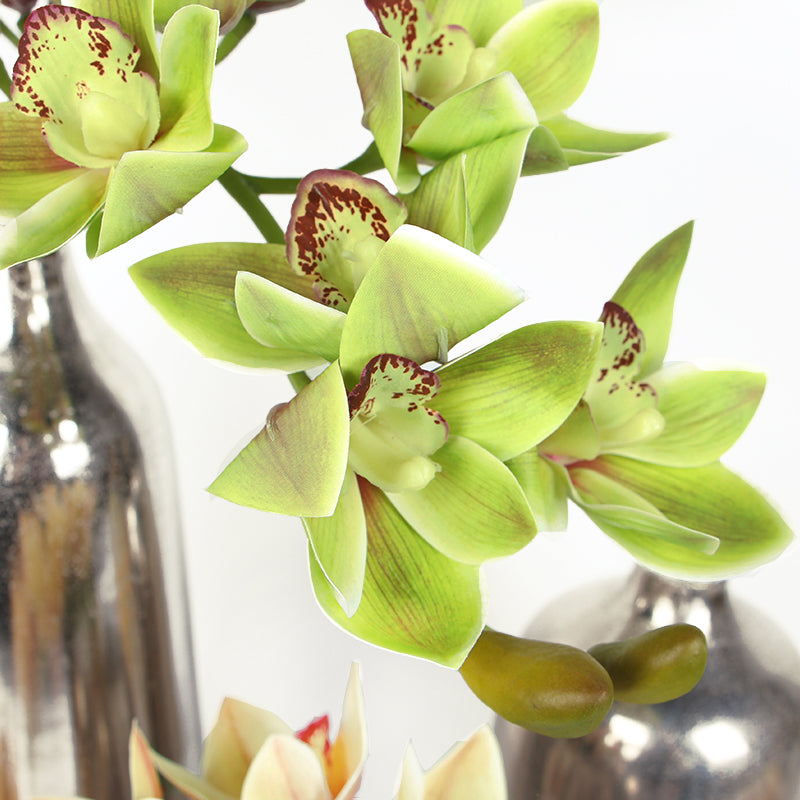 Boat Cymbidium Orchid Stem in Green and Yellow 29" Tall