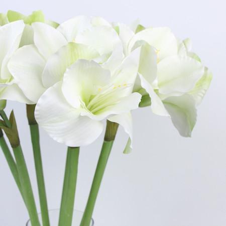 Clivia Orchid Stem in White 30" Tall
