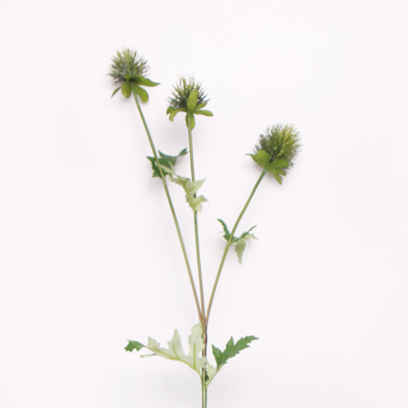Artificial Eryngium Flower Stem in Green 24" Tall