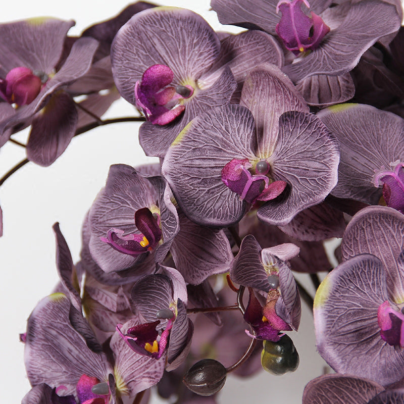 Silk Butterfly Orchid Stem in Dark Purple 37" Tall