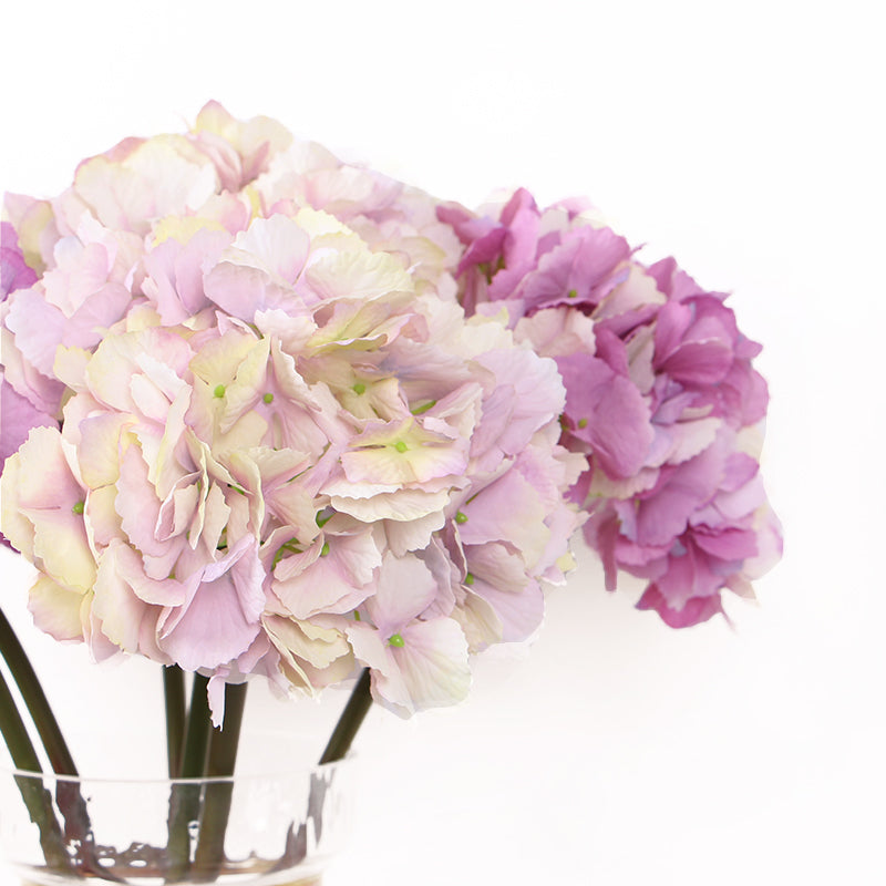 Silk Hydrangea Stem in Light Pink and Rose Pink 20" Tall